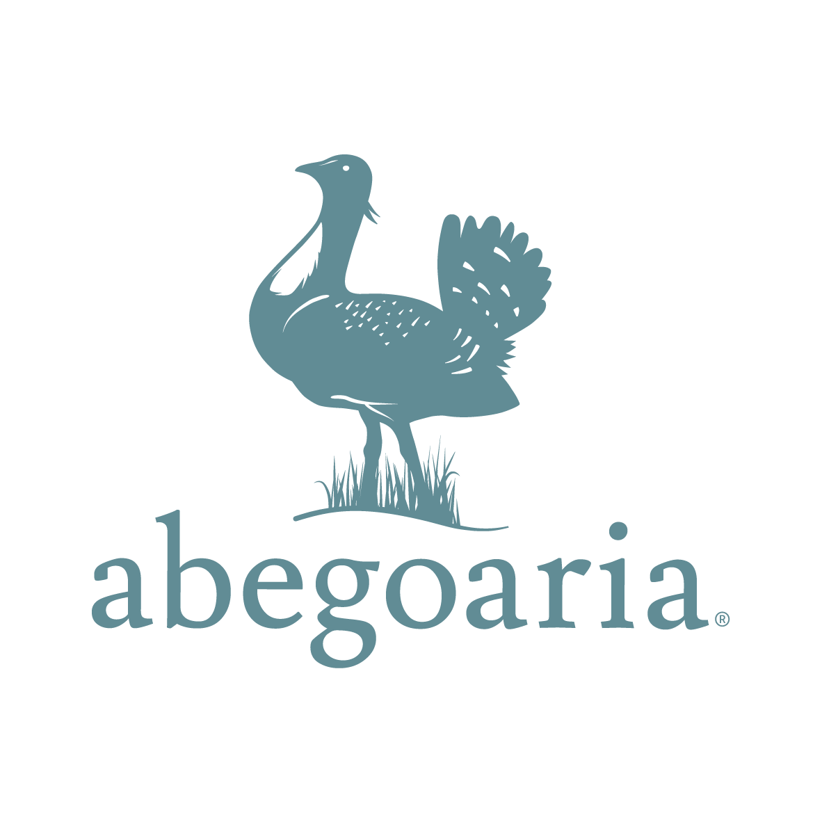 Abegoaria