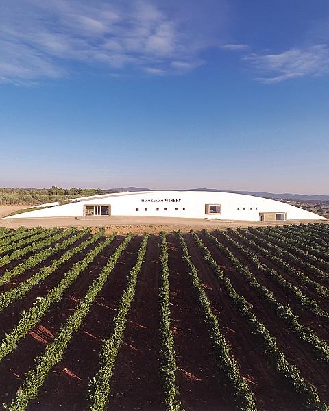 Tiago Cabaço Winery - Estremoz