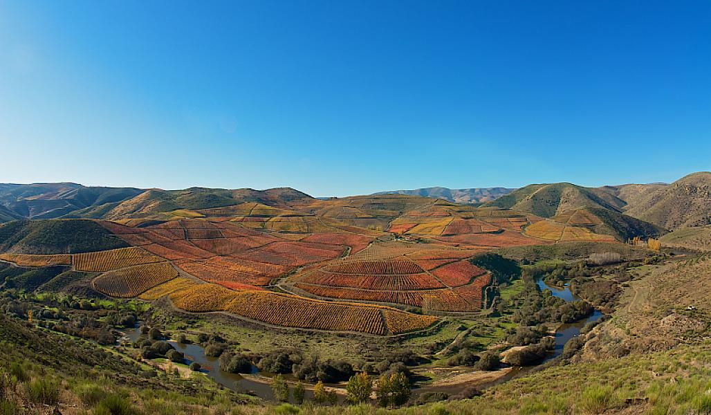 Vale do Côa