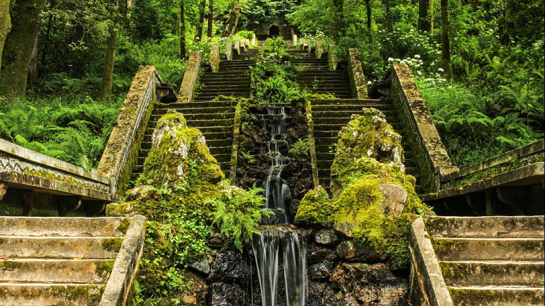 Mata do Bussaco